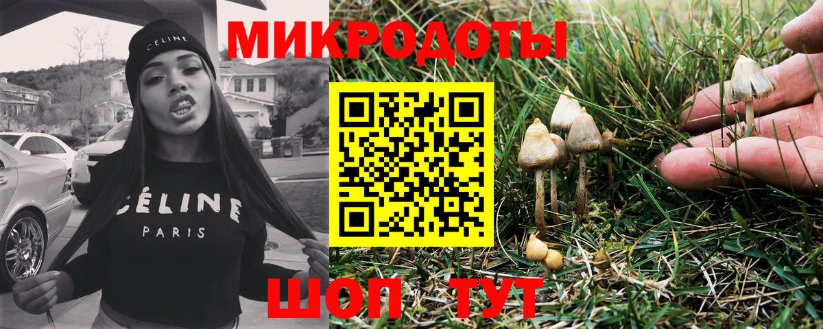 Гусиноозёрск  Псилоцибиновые грибы ЛСД  Вход с VPN 